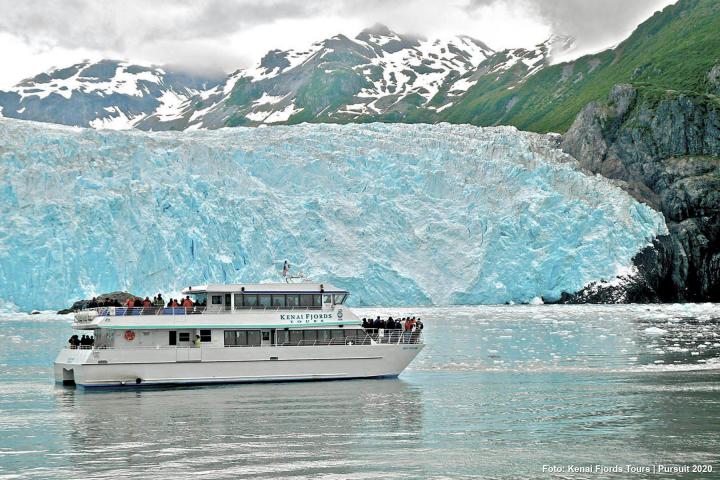 Kenai Fjords Cruise 