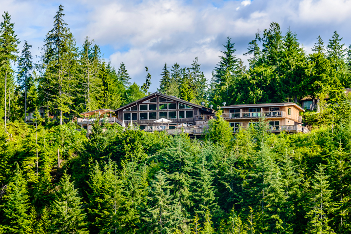 West Coast Wilderness Lodge 